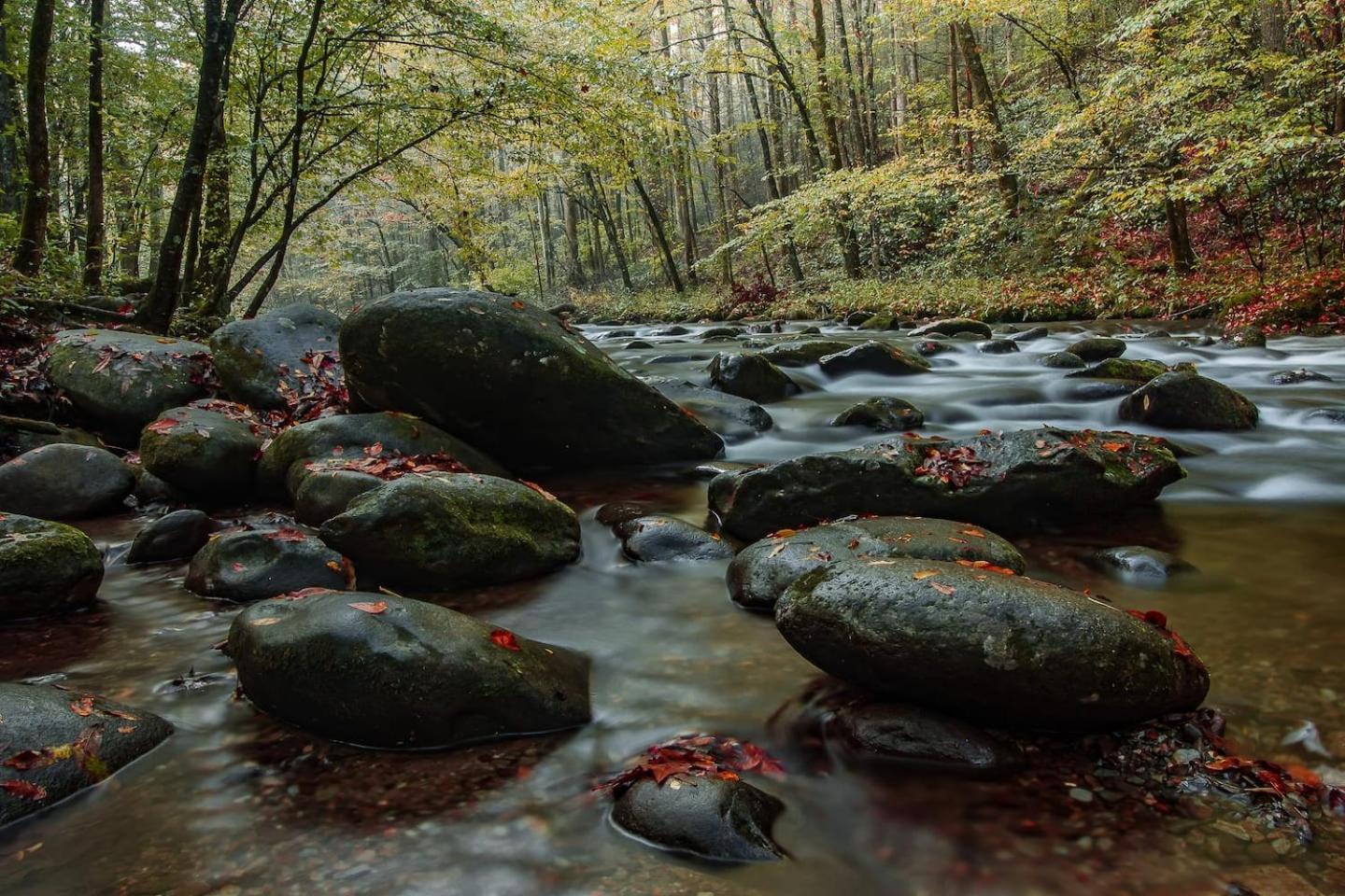Romantic Mtn Cabin Hot Tub & Jacuzzi Views Sevierville Ngoại thất bức ảnh