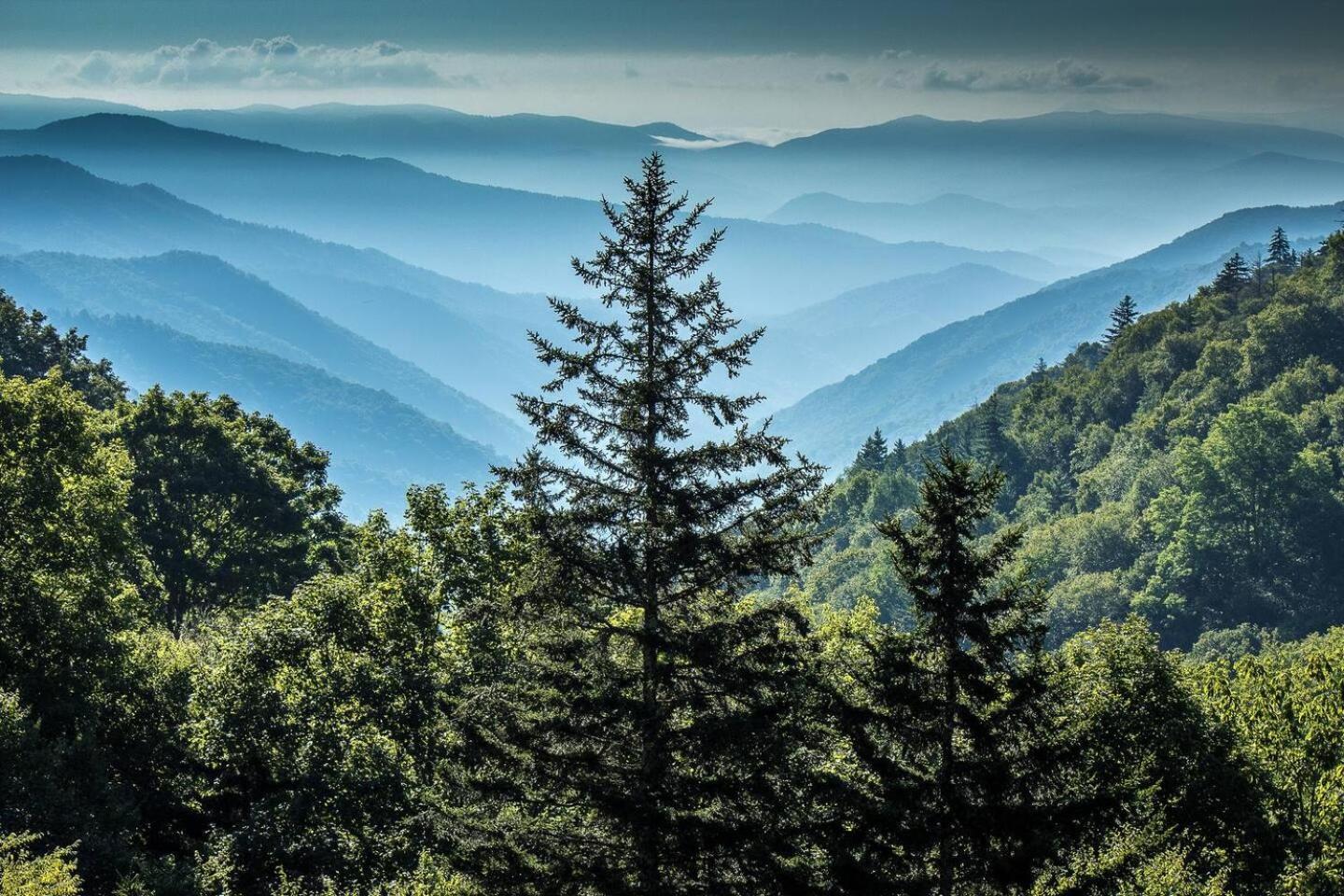 Romantic Mtn Cabin Hot Tub & Jacuzzi Views Sevierville Ngoại thất bức ảnh