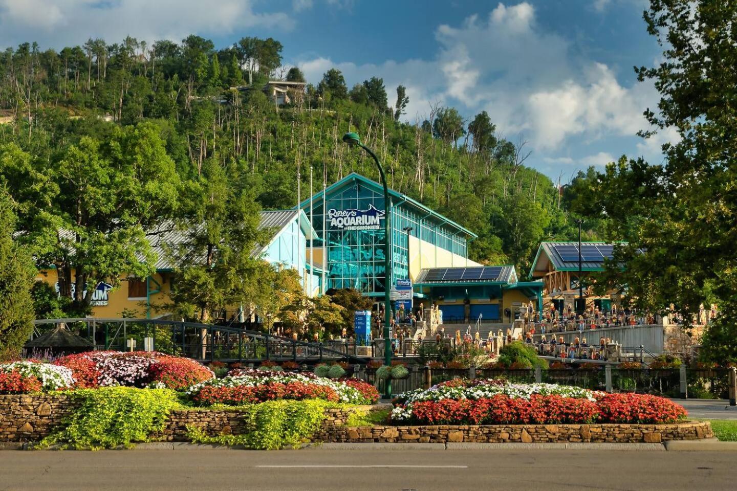 Romantic Mtn Cabin Hot Tub & Jacuzzi Views Sevierville Ngoại thất bức ảnh
